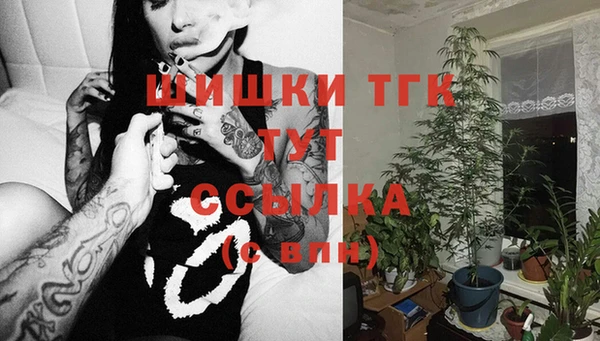 соль курить ск Дмитриев