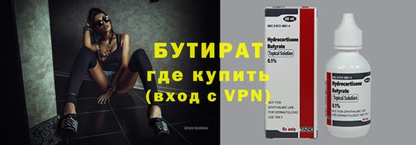 ГАЛЛЮЦИНОГЕННЫЕ ГРИБЫ Гусев